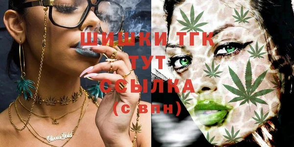 винт Арсеньев